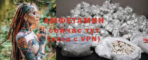 прущие грибы Карталы