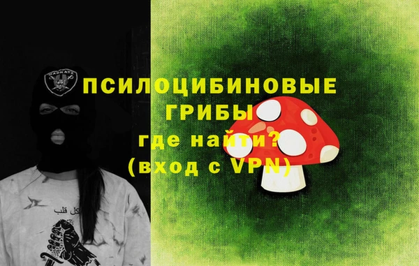 прущие грибы Карталы