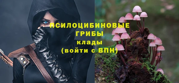 первитин Касимов