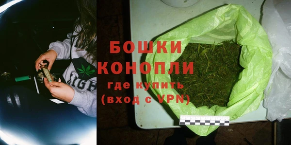 прущие грибы Карталы