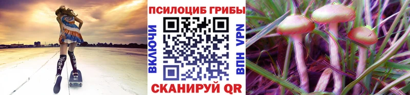 Галлюциногенные грибы ЛСД  Купить где  Саранск 